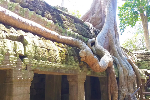 Excursión de un día a Angkor Wat al Amanecer, Ta Promh, Banteay Srei y Bayon