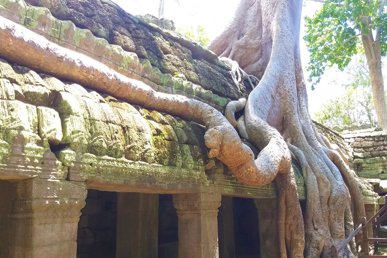 Angkor Wat Sunrise, Ta Promh, Banteay Srei, Bayon Day Tour