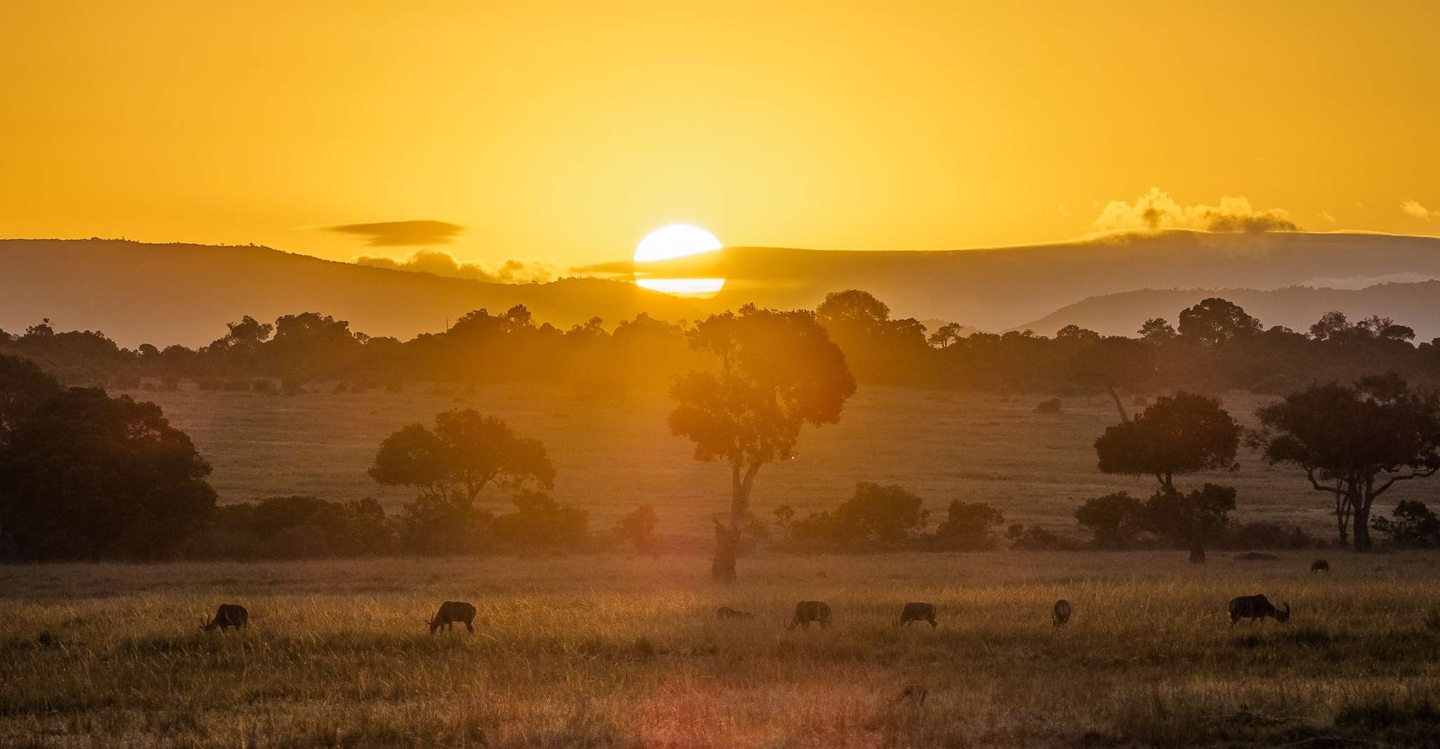 3 Days 2 Nights group safari to Maasai Mara by a Safari Van - Housity