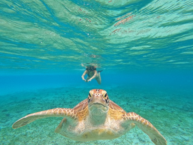 Visit Private Meno Trip 2 Hours With Gopro Camera Included in Gili Trawangan