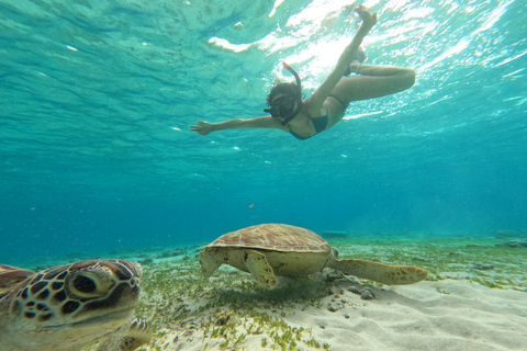 Gili-öarna: 2-timmars snorkling med GoPro-kamera och guide