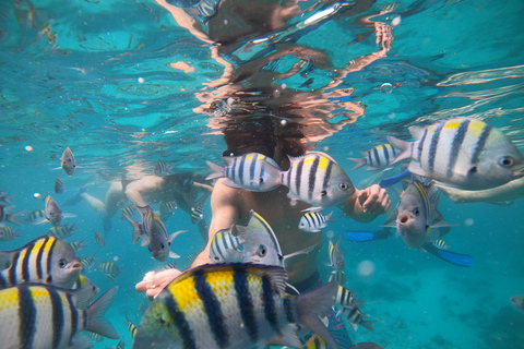 Isole Gili: 2 ore di snorkeling con videocamera GoPro e guida