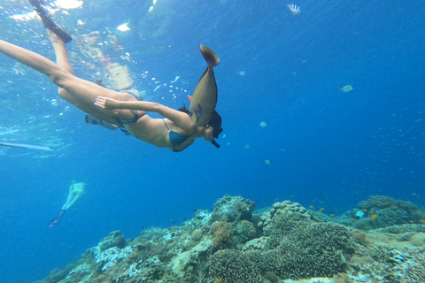 Ilhas Gili: Snorkel de 2 horas com câmera GoPro e guia