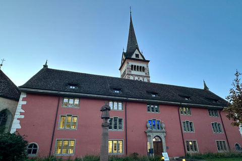 Bâle : Stein Am Rhein, Schaffhausen et croisière sur le Rhin