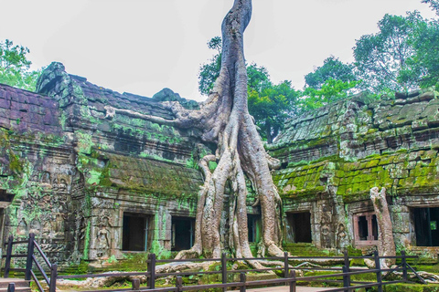 Angkor Wat Sunrise, Ta Promh, Banteay Srei, Bayon Day Tour