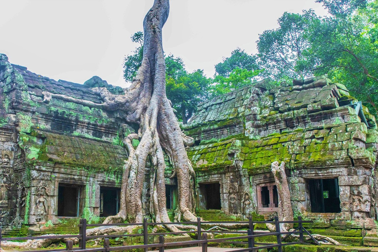 Angkor Wat Sunrise, Ta Promh, Banteay Srei, Bayon Day Tour