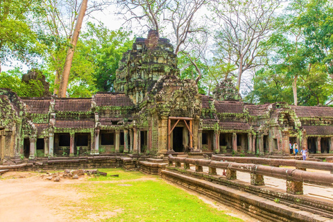 Angkor Wat Sunrise, Ta Promh, Banteay Srei, Bayon Day Tour