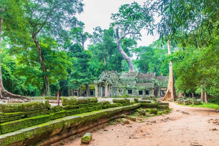Excursión de un día a Angkor Wat al Amanecer, Ta Promh, Banteay Srei y Bayon