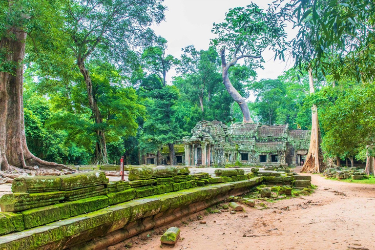 Excursión de un día a Angkor Wat al Amanecer, Ta Promh, Banteay Srei y Bayon