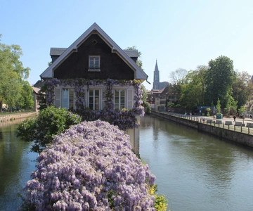 Strasbourg: Walking Tour with Local Guide