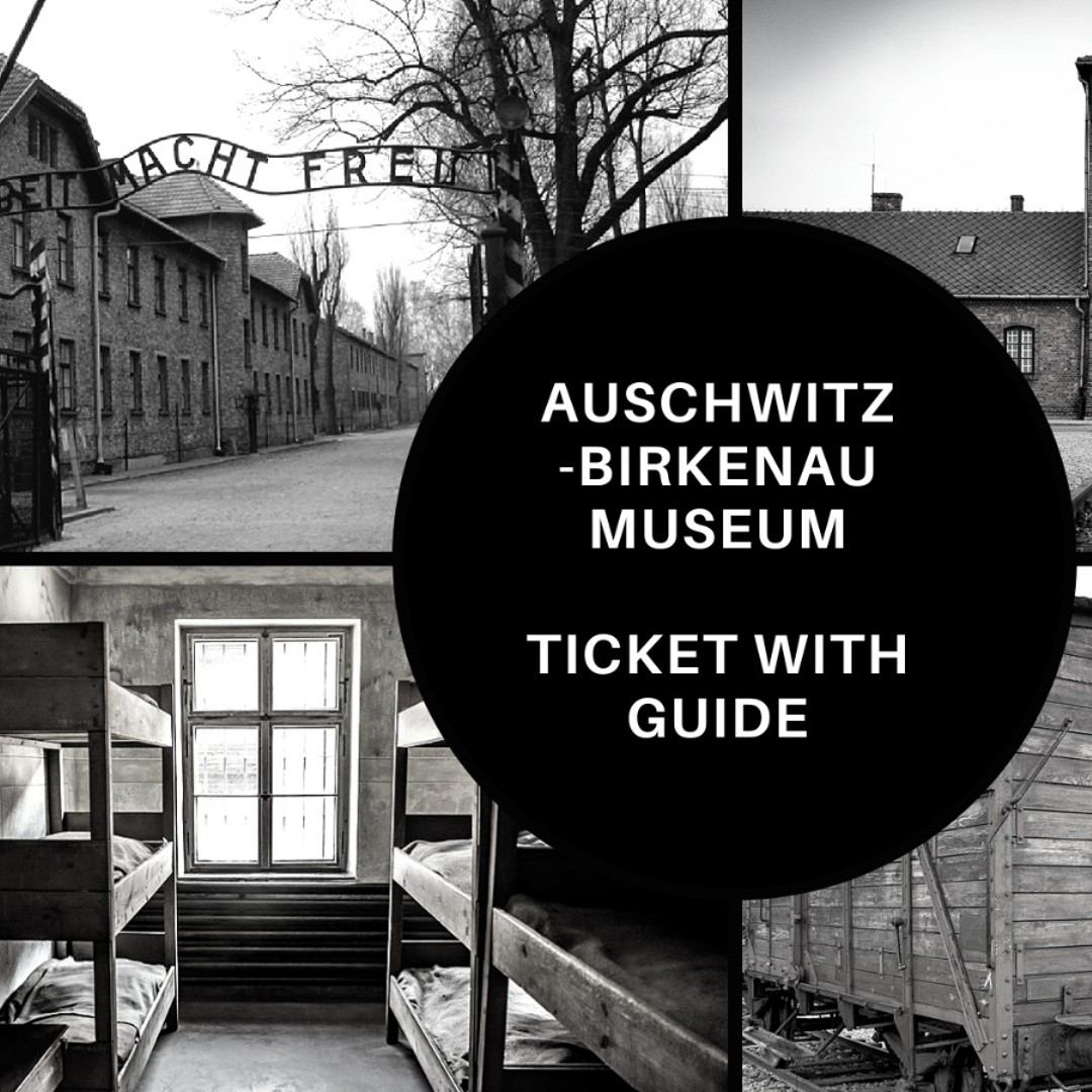 THE AUSCHWITZ ALBUM(英語版) THE AUSCHWITZ ALBUM(英語版)