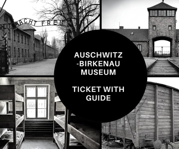 Auschwitz-Birkenau: Ingresso para o Memorial e visita guiada