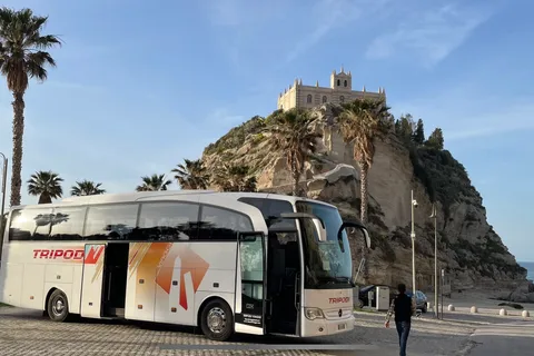From Tropea: Reggio and Scilla Daily Tour