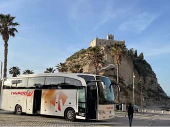 Da Tropea: Tour giornaliero di Reggio e Scilla