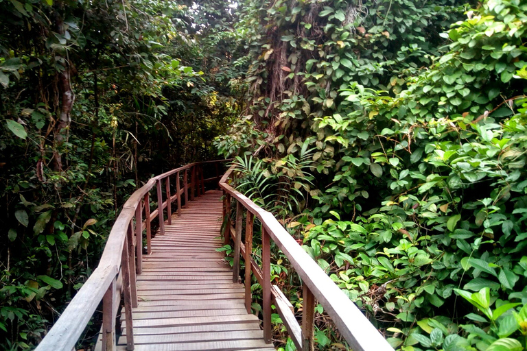 Lekki Conservation Center Extraordinary Tour