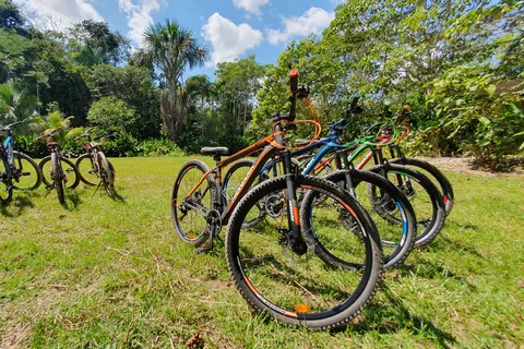 Biking in Peruvian rainforest with Lagoon visit
