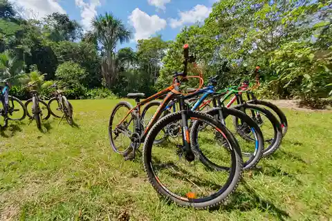 In bicicletta nella foresta pluviale peruviana con visita alla Laguna