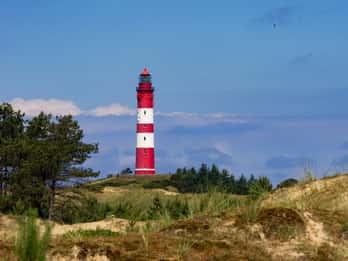 Sylt: Boat tour to island of Amrum