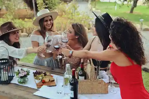 Wine Tasting in the Gardens at Rondo del Valle with vineyard