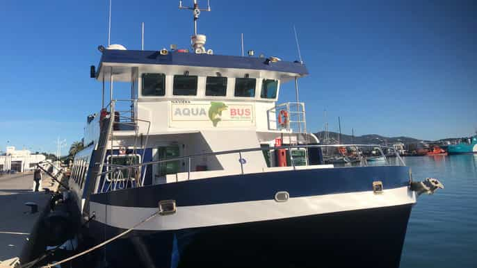 Playa d'en Bossa/Figueretes: Ferry de ida y vuelta a Formentera