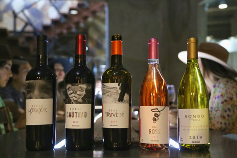 Dégustation privée au domaine viticole Valle de Guadalupe