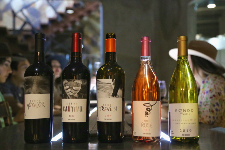 Dégustation privée au domaine viticole Valle de Guadalupe