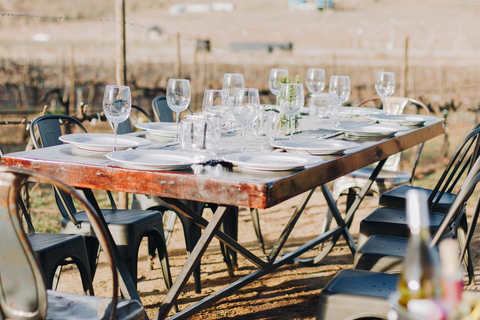 جولة إرشادية في مزارع الكروم مع تذوق النبيذ في روندو ديل فالي