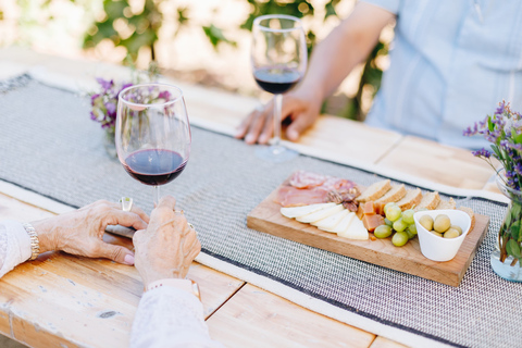 جولة إرشادية في مزارع الكروم مع تذوق النبيذ في روندو ديل فالي