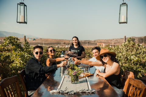 جولة إرشادية في مزارع الكروم مع تذوق النبيذ في روندو ديل فالي