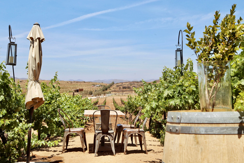 جولة إرشادية في مزارع الكروم مع تذوق النبيذ في روندو ديل فالي