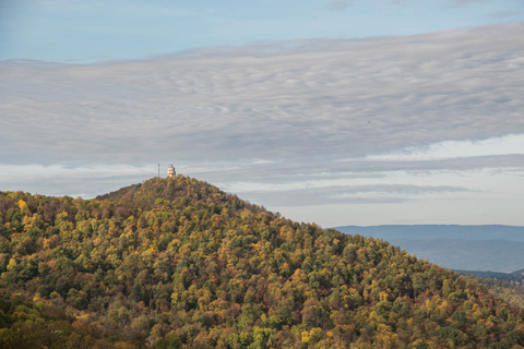 3-godzinna wycieczka na świeżym powietrzu w Budapeszcie Normafa Hike&History z historykiem