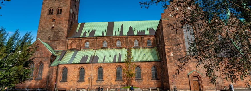 Découvrez Aarhus : visite à pied privée sur le thème de la culture et du patrimoine
