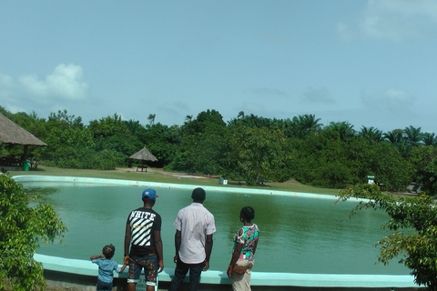 Lekki Conservation Center Extraordinary Tour