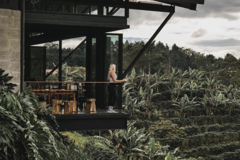 Wycieczka łączona: wulkan Poas + farma kawy