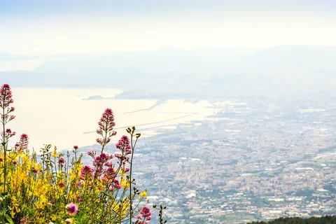 Pompei: Pompeii and Vesuvius Combo with Transfer and Tickets