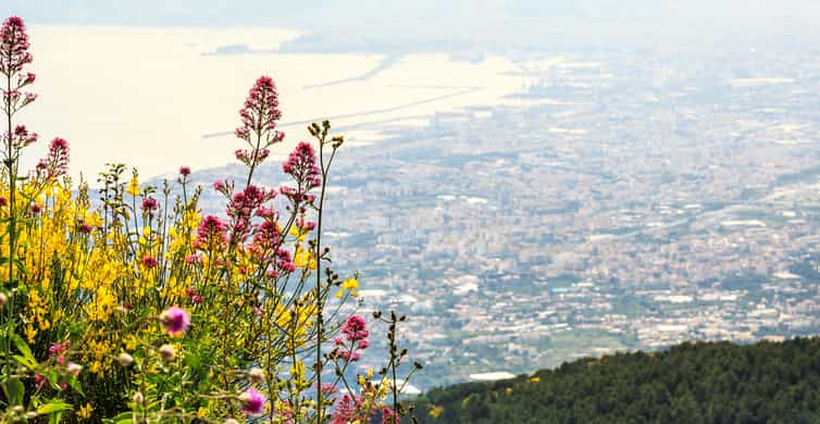 Pompei: Pompeii and Vesuvius Combo with Transfer and Tickets