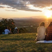 Brisbane: Boutique Winery Tour with Gourmet Lunch