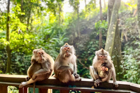 Ubud: Monkey Forest Sanctuary and Jungle Swing Private Tour