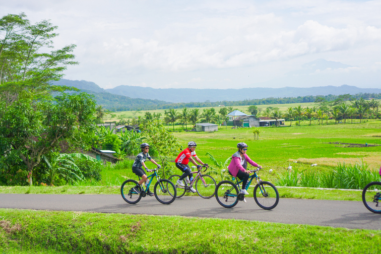 Dorf-Radtour in NanggulanEnglisch sprechender Reiseleiter