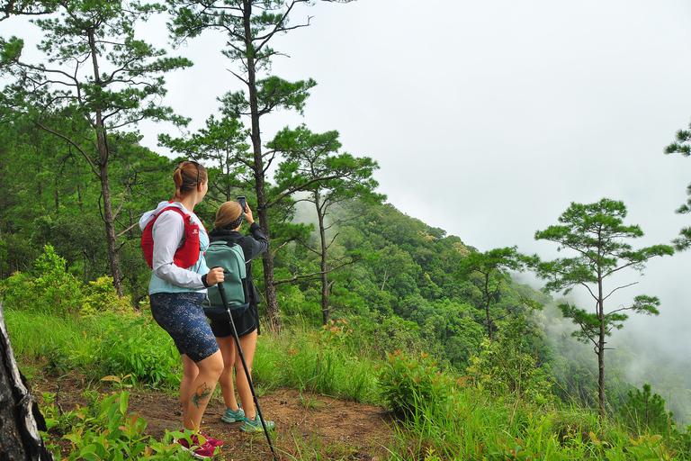 Chiang Mai: całodniowa piesza wycieczka Trailhead