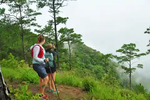 Chiang Mai: excursão de caminhada de dia inteiro por Trailhead