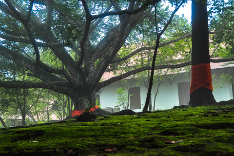 Chiang Mai: całodniowa piesza wycieczka Trailhead