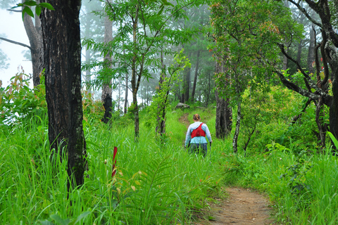 Chiang Mai: dagtour door Trailhead