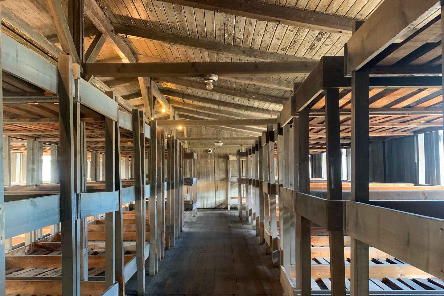 Berlin: Sachsenhausen Memorial 6-Hour Tour in Spanish