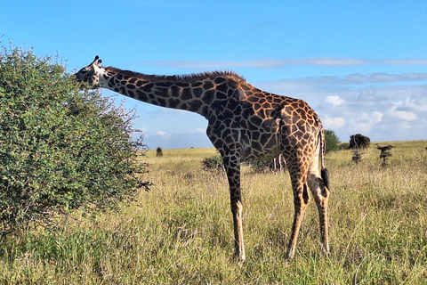 Hell's Gate National Park Dagtrip met Baot Ride Tour