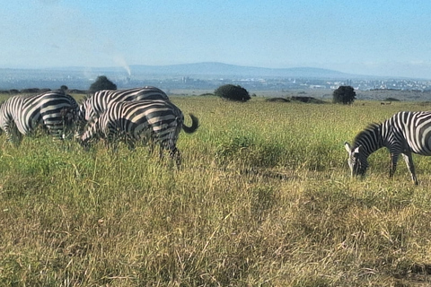 Hell's Gate National Park Dagtrip met Baot Ride Tour