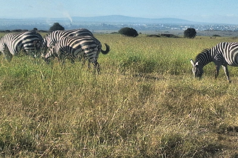 Hell's Gate National Park Dagtrip met Baot Ride Tour