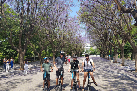 Athens: Electric Bike Day Tour