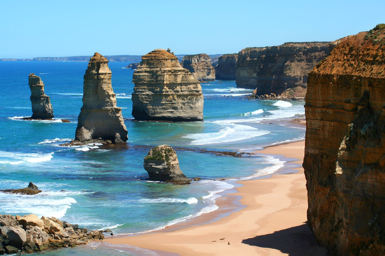 Tour privato della Great Ocean Road