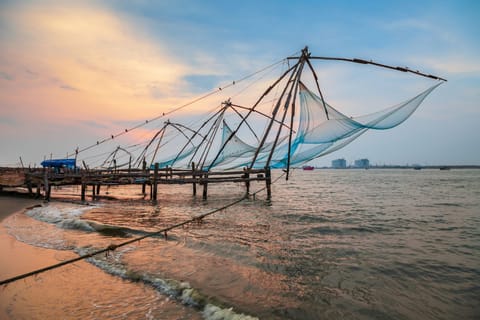 Full Day Cochin Tour